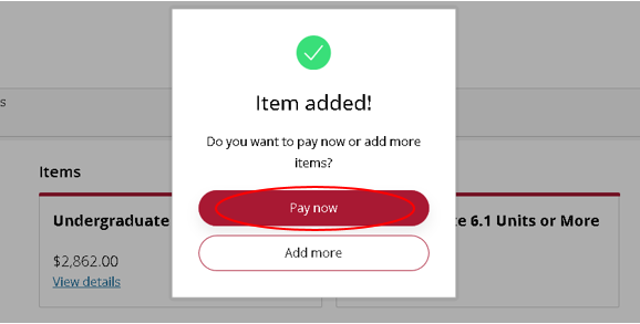 Select Pay Now
