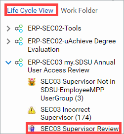 Supervisor Review